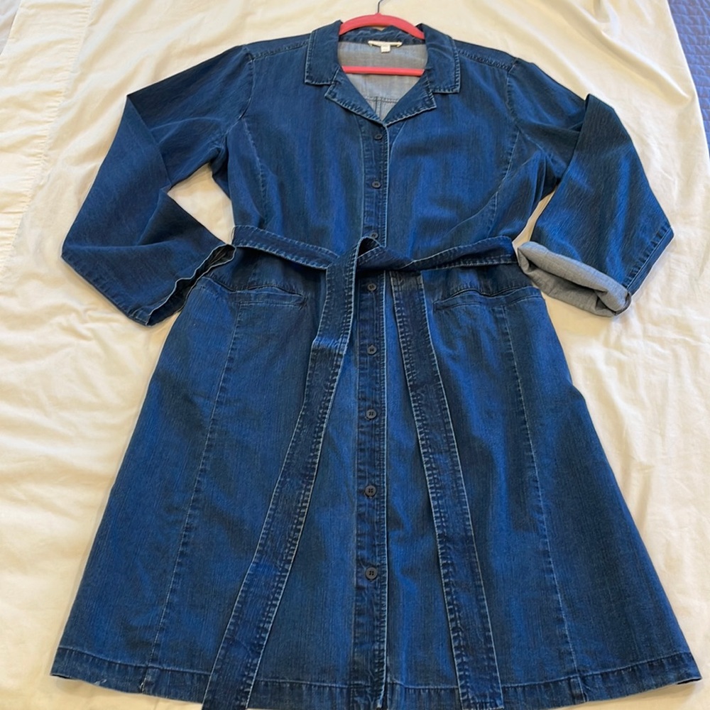 Eileen Fisher Dress